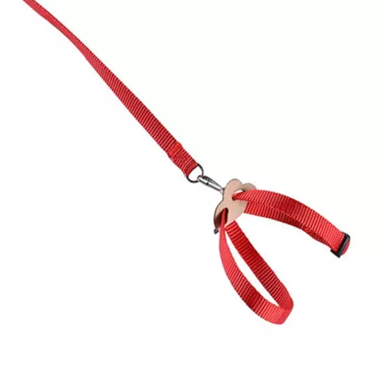 Parrot Bird Harness Leash Adjustable Training Rope Flying Traction Straps Band.