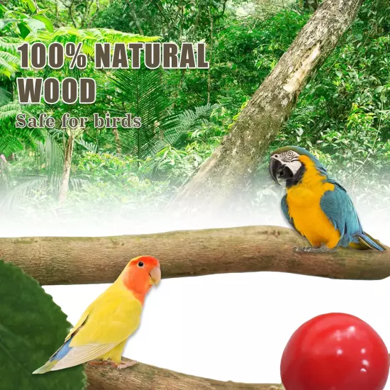 3Pcs Bird Perch Stand Natural Wooden Parrot Stand Branch，Simulated Fruits and Gr