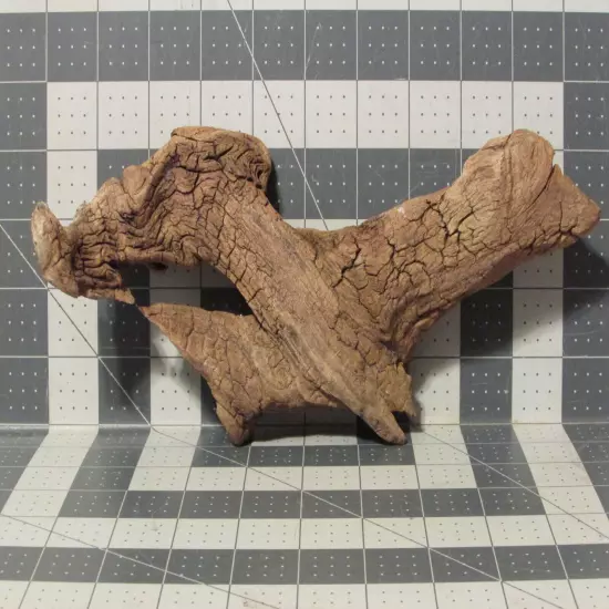 UNIQUE Driftwood, Natural, Aquarium, Reptile, Craft Taxidermy Beach Decor, Small