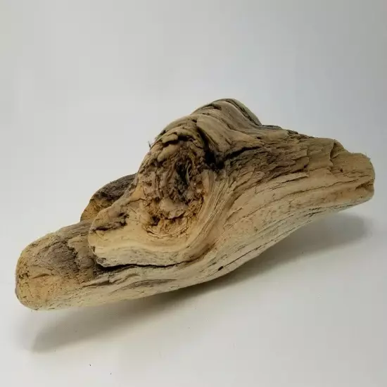 Driftwood Missouri River Cream Tan Weathered Hardwood Habitat Natural Sculpture