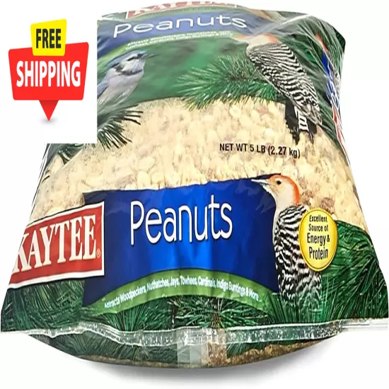 Shelled Peanuts for Woodpeckers, Nuthatches, Jays, Towhees, Cardinals, Indigo Bu