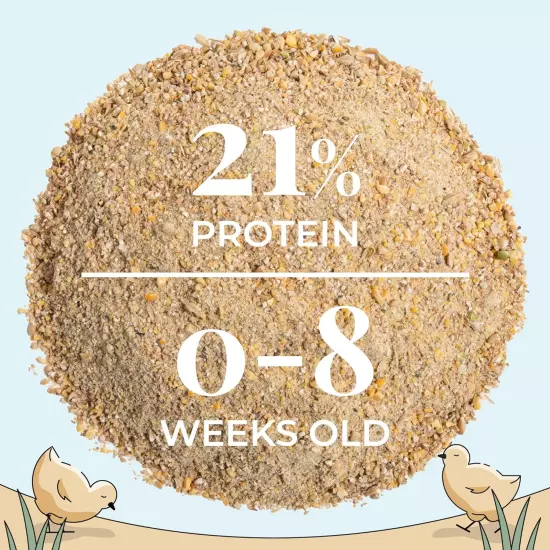 Organic Chicken Feed | Chick (0-8 Week) Starter Baby Feed | 2 Lbs. | Organic, No