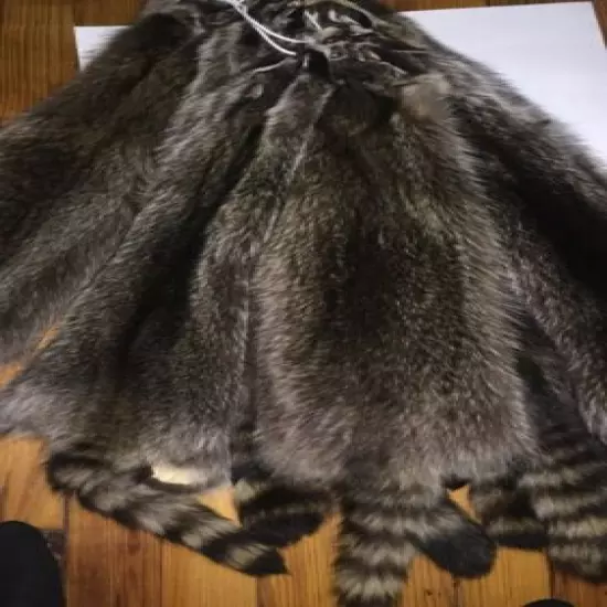 Raccoon Fur Pelt Dressed - Professionally Tanned Garment Grade Raccoon Fur.