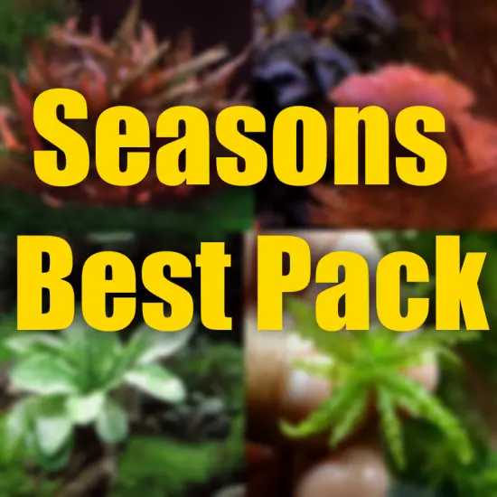 Seasons Best Aquarium plant Package filled with the Seasons best plants