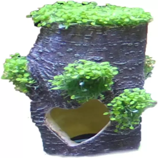 Aquarium Living Resin Decoration with Glosso Plan