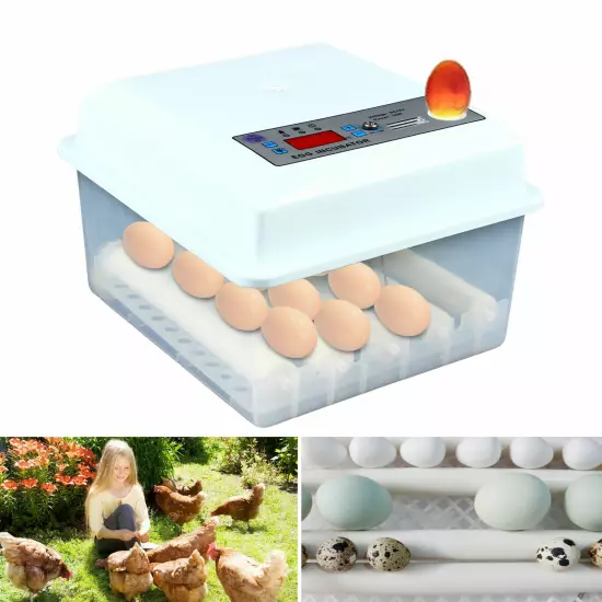 Incubators for Hatching Eggs 16 Eggs Incubator Automatic Egg Turning Chicken