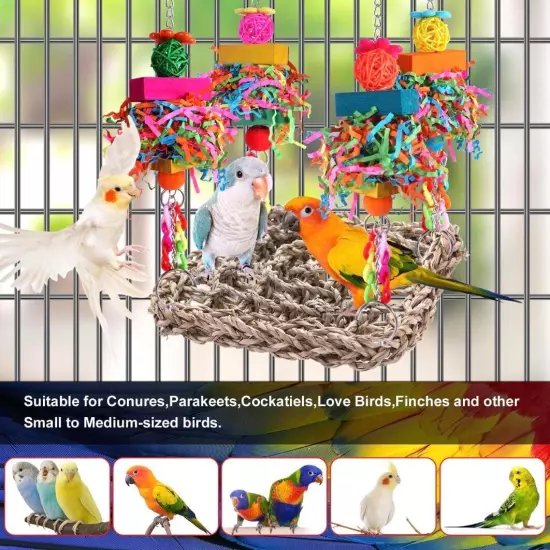 Parakeet Toys Bird Conure Birdcage Stands Foraging colorful 