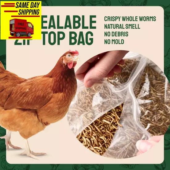 Bulk Dried Mealworms 10 Lbs – Premium Organic Non-Gmo Dried Mealworms for Chicke