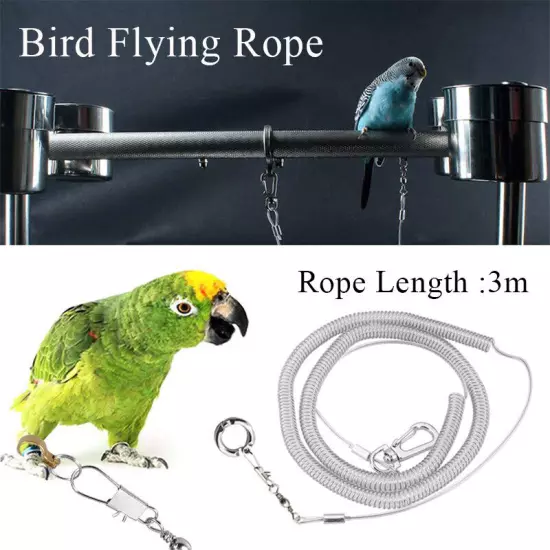 3M Leash Parrot Flying Training Rope Bird Harness For Macaw With Leg Ring │