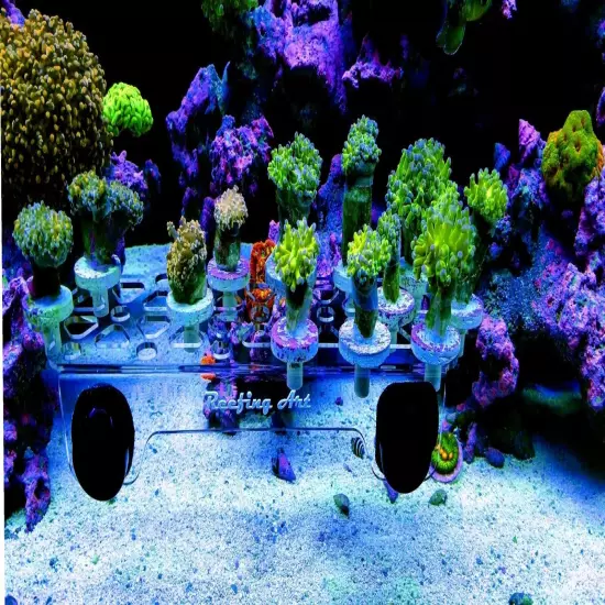 Reefing Art Magnetic Coral Frag Rack Strong Magnets Holds Up to 41 Plugs