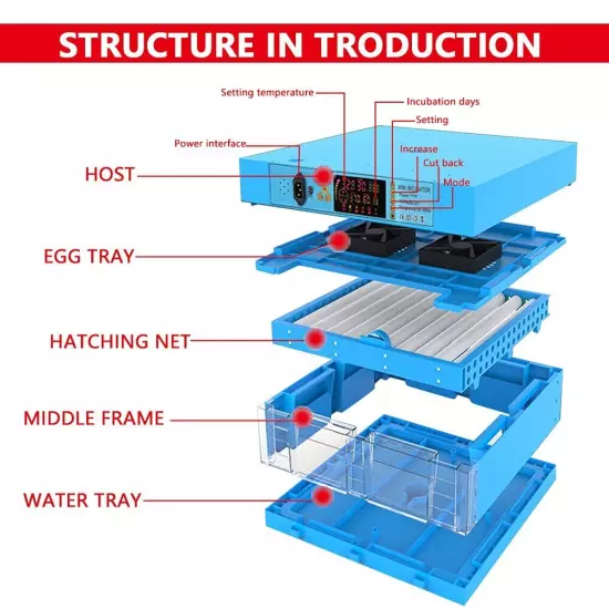 Auto Egg Incubator with Automatic Egg Turning and Humidity & Temperature Control