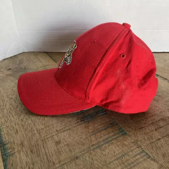 Florida Panthers NHL Hat Red Hat Adjustable Adult Size Red Hat Baseball Cap