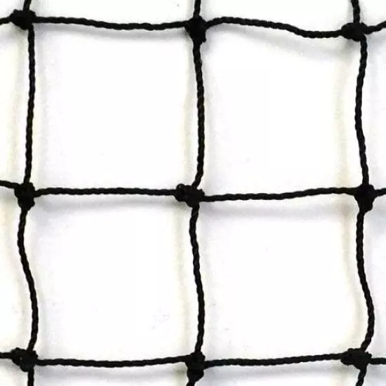 Baseball, Softball Barrier Net,Knotted Nylon , #21 Black, 10' X 10' NEW!