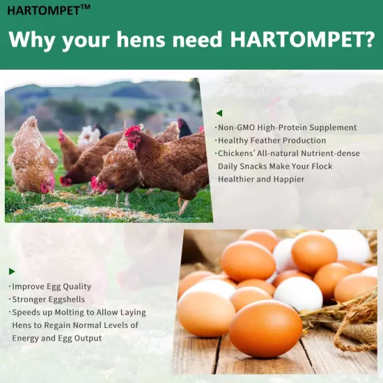 HARTOMPET Better Than Dried Mealworms for Chickens 2 lbs - 85X More Calcium T...