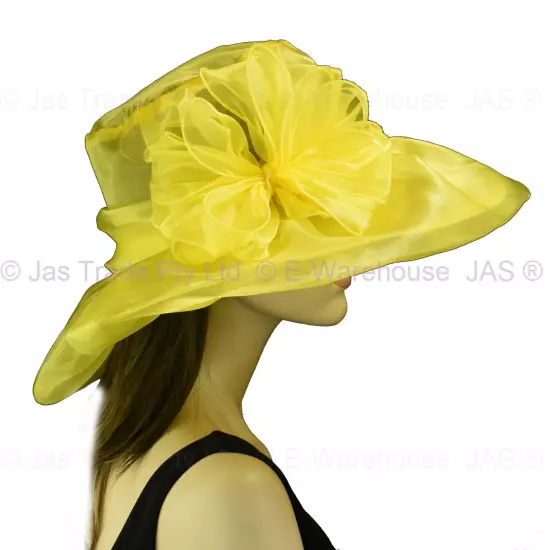 Spring Race Carnival Derby Day Church Wedding Women Ladies Organza Evening Hat