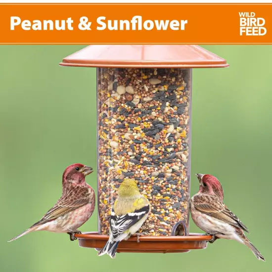 Peanut & Sunflower Wild Bird Feed and Seed, Dry, 1 Count per Pack, 20 lb. Bag