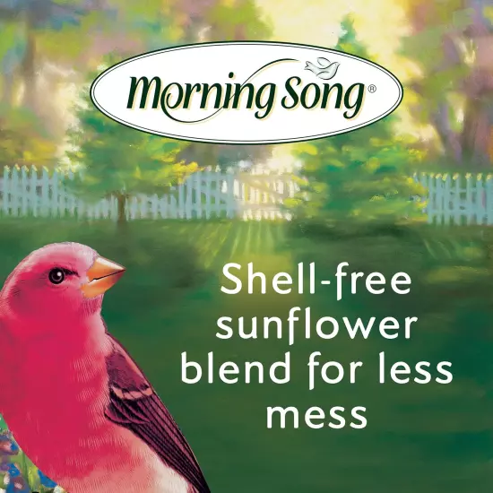 Clean & Free Shell Free Wild Bird Food, Premium No Mess Bird Seed for outside Fe