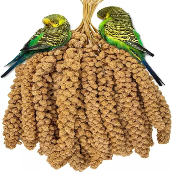 5Lbs Millet Spray for Birds, Sun Dried Spray Millet, Original Bird & Supplement