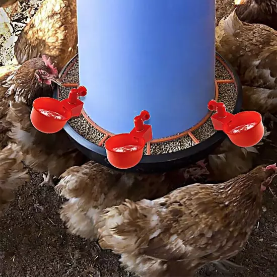 Automatic Cups Chicken Water Cup Bowl Feeder Drinker Waterer Poultry Chook Bird