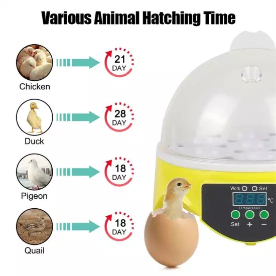 Poultry Egg Incubator with 7-Egg Capacity for Chicken & Duck Hatching