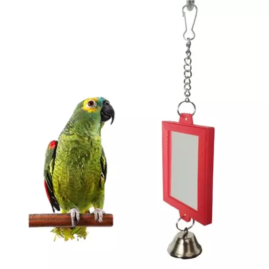 Bird with Metal Bells for Cage Hanging Parrot Toy Accessories for Conure