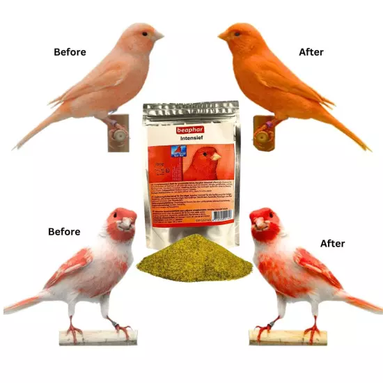 Bojena Intensify Red Bird Color, Excellent for red factor canaries.