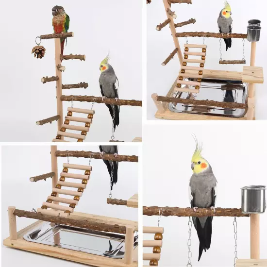 Bird Playground, Parrot Perch Stand, Natural Wood Bird Play Stands for Cockatiel