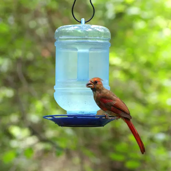 780 Outdoor Hanging Water Cooler Bird Waterer and Dispenser,Blue, 1.5 Qt Capacit