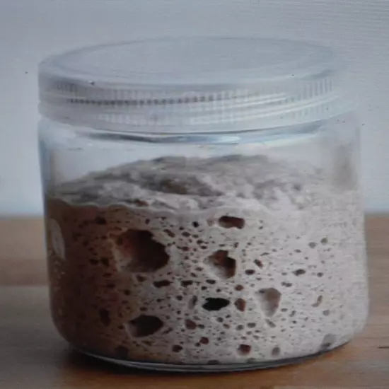 sourdough starter yeast from the "WHARF" in SAN FRANCISCO 145 YR OLD W/recipes 