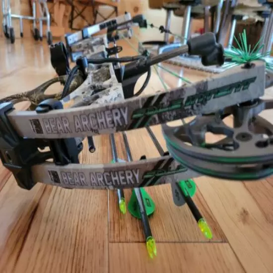 Two Compound Bows