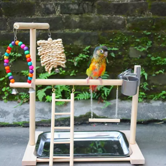 Bird Playground Perch Stand Feeding Cups Swing Climbing Ladder Parrot Playstand