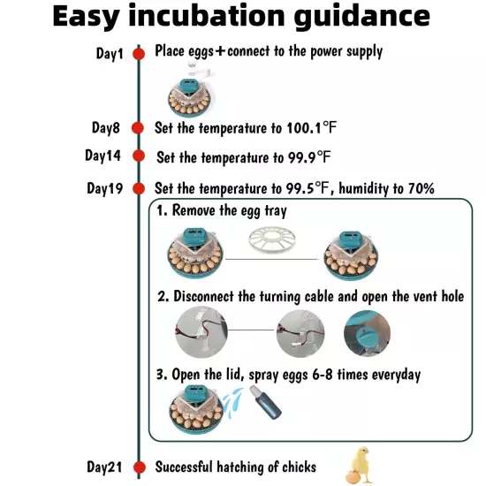 Egg Incubator Intelligent Incubator for Chicken Eggs with Automatic Humidity C