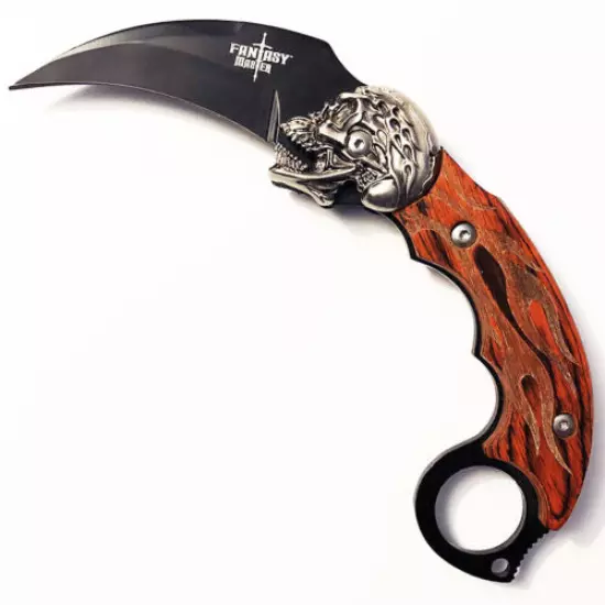 Collector's Stainless Steel Knife with Sheath - Curved Blade w. Skull - Karambit