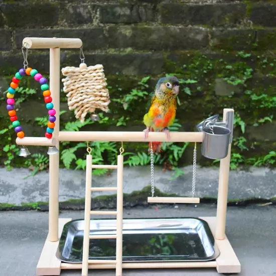 Bird Playground Perch Stand Feeding Cups Swing Climbing Ladder Parrot Playst