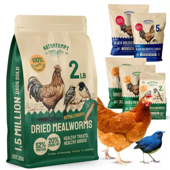 2 lbs Dried Mealworms for Birds – Premium Non-GMO Organic Bird Food for Ou