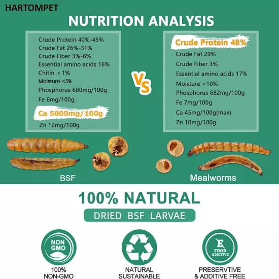 HARTOMPET Better Than Dried Mealworms for Chickens 2 lbs - 85X More Calcium T...