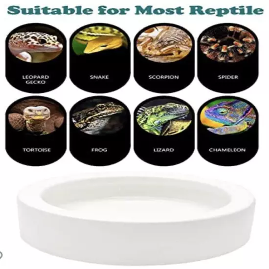 iHomeSet 2 Pcs Reptile Food Bowl Ceramic Water Feeder Bowls Anti- Escape Mini