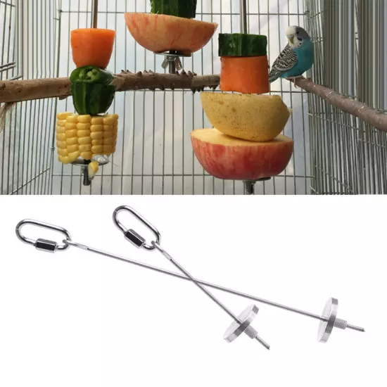 Bird Holder Hanging Stainless Steel Parrot Feeder Fruit Skewer Foraging Toy