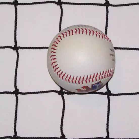 20' X 25' Extra Duty Baseball Netting Nylon Net 1 7/8" #36 -Twine Test 350 Lbs 