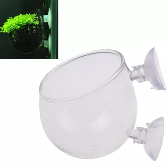 Fish Tank Mini Crystal Glass Pot Water Potted Aquatic Planting Cylinder Cup Sn