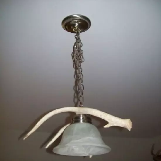  WHITETAIL DEER/ELK/MOOSE ANTLER/SHED/HORN CEILING PENDANT LIGHT/LAMP/LIGHTS #5