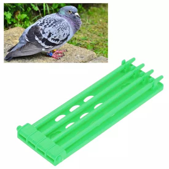 3Pcs Pigeons Foot Rings Frame 4 Column Independent Save Space Racing Pigeons