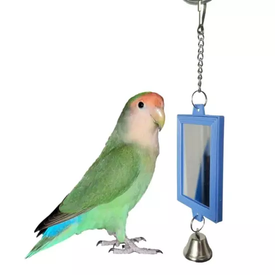 Bird with Metal Bells for Cage Hanging Parrot Toy Accessories for Conure