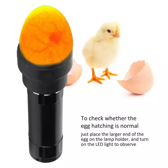 Egg Candler Tester 9 Lamp Safe Cool Light Egg Candler with Lanyard for Chickens