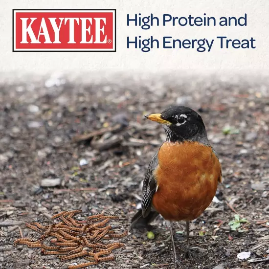 Wild Bird Food Mealworms for Bluebirds, Wrens, Robins, Chickadees, Woodpeckers, 