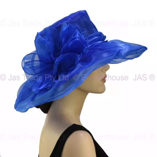 Spring Race Carnival Derby Day Church Wedding Women Ladies Organza Evening Hat