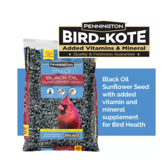 Pennington Select Black Oil Sunflower Seed Dry Wild Bird Feed, 40 lb. Bag, 1 Pac