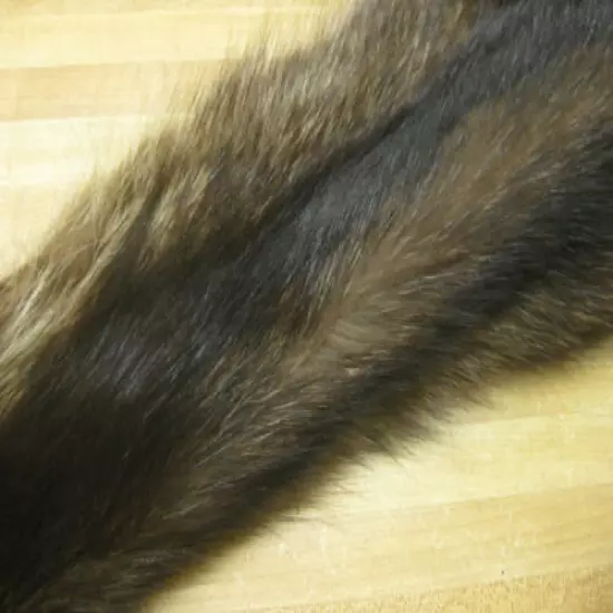 Tanned Raccoon Hide Craft Grade DAMAGED Fur Coats Trapping # 0002763 Row A-5