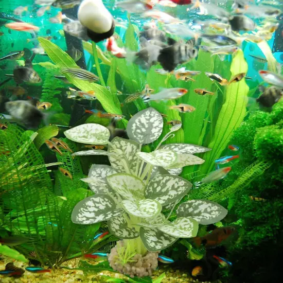 Artificial Fake Plastic Water Grass Plants For FishTank Ornaments Aquarium Y8M1