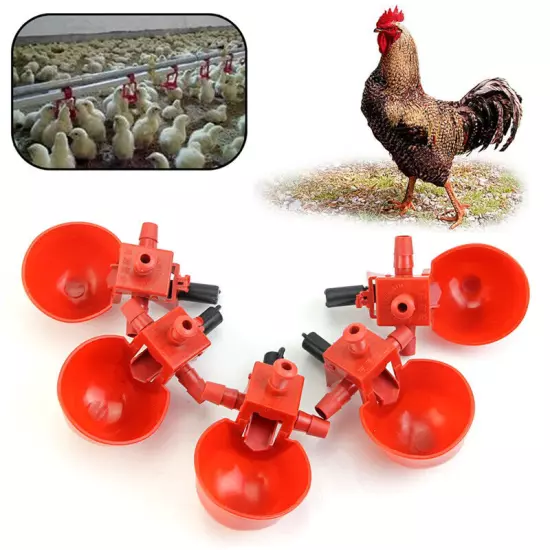 5Pcs Feed Automatic Bird Poultry Chicken Fowl Drinker Water Drinking Cups